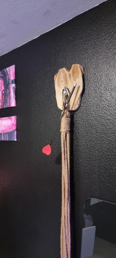 Appartamento Le Coin Des Desirs Bdsm Strasburgo